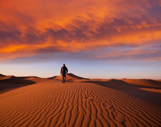 Namibia: Live stream in the Namib Desert