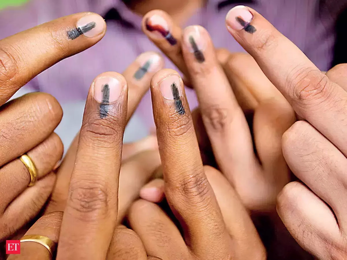 Punjab: All Arrangements Made to Ensure Free, Fair Bypoll in Sangrur, Says Returning Officer