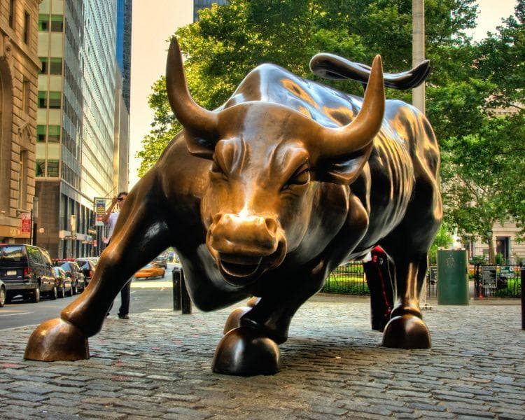 Stock market Bull