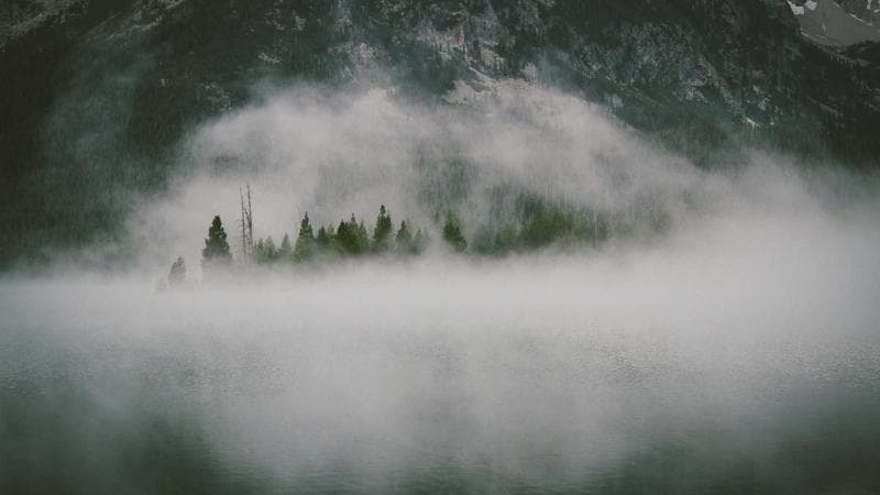 news-image-1