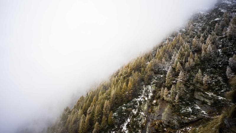 news-image-1