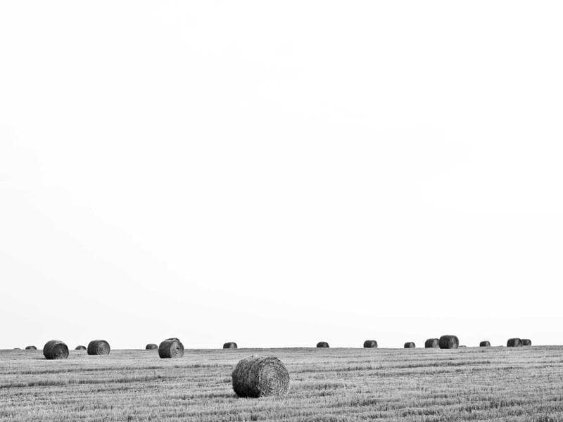 news-image-1