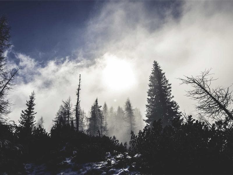 news-image-1