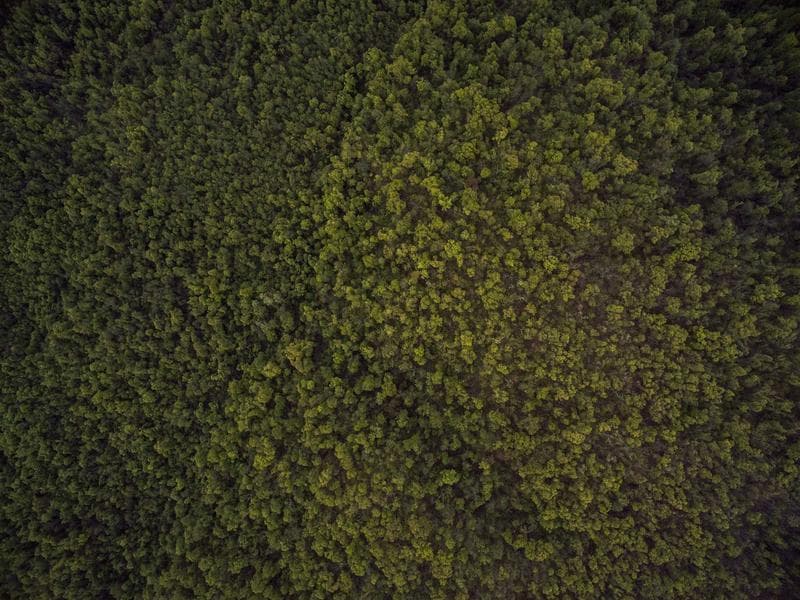 news-image-1