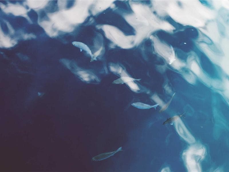 news-image-1
